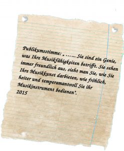 Publikumsstimme 2015